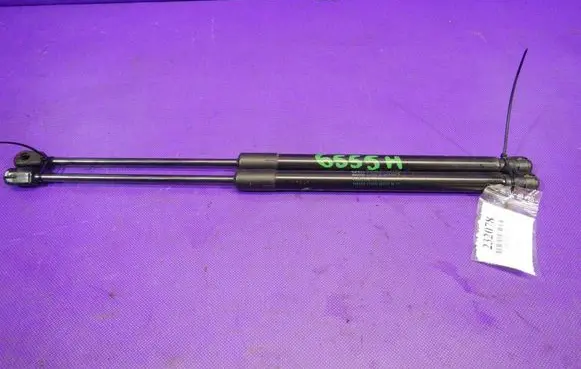 Opel Signum Tailgate strut 315005777