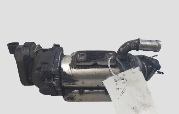 Renault Laguna III EGR valve 876481V H8200340616