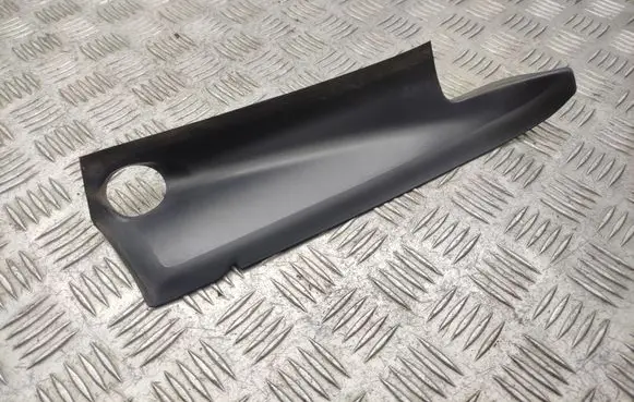 Rear/tail light trim molding