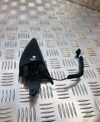Volkswagen Eos Front door speaker