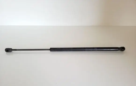 Toyota Corolla Verso E121 Tailgate/trunk strut/damper 689500F011