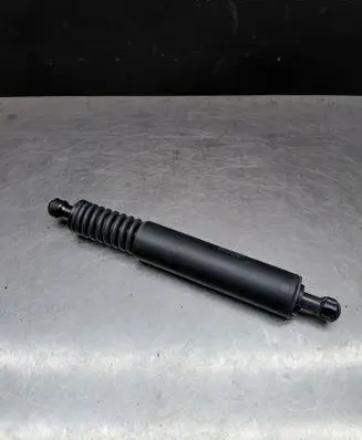 Porsche Cayenne (9PA) Tailgate strut 0344031900N