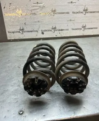 Rear coil spring