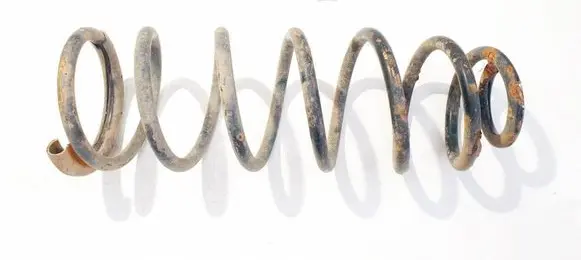 Rear coil spring