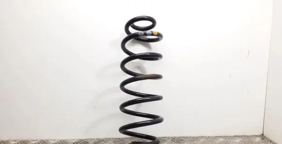 Audi Q5 SQ5 Rear coil spring