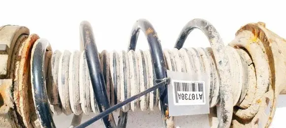 Skoda Octavia Mk2 (1Z) Front coil spring 