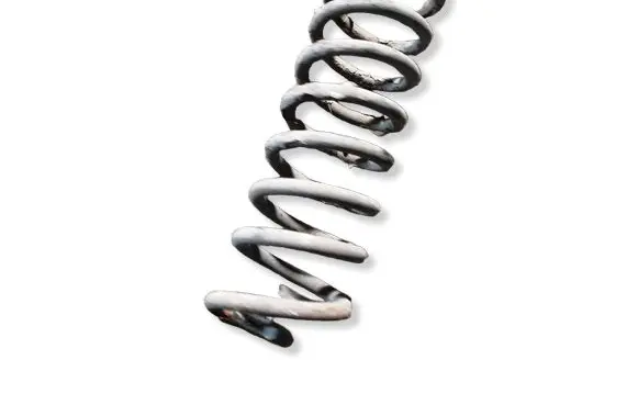 Dacia Sandero Rear coil spring 