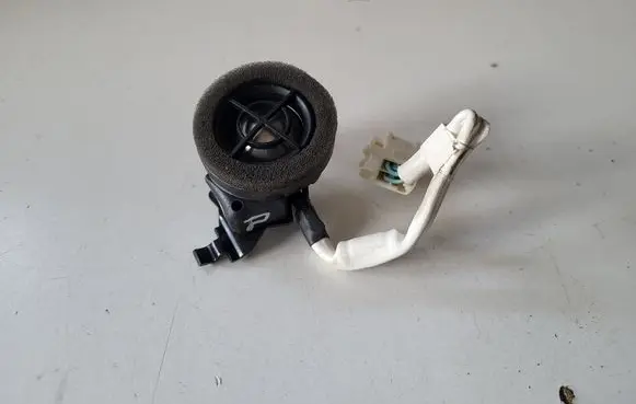 Lexus RX 330 - 350 - 400H Panel speaker 861600E150