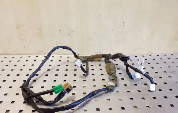 Rear door wiring loom