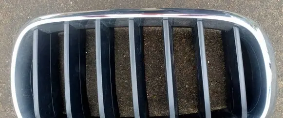 BMW X5 F15 Front bumper upper radiator grill 7316076