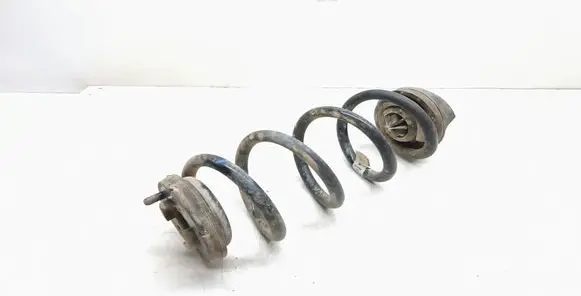 Rear coil spring