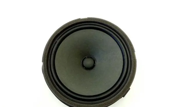 Cupra Leon Front door speaker 5FA035415