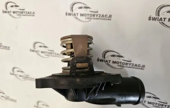 Thermostat/thermostat housing
