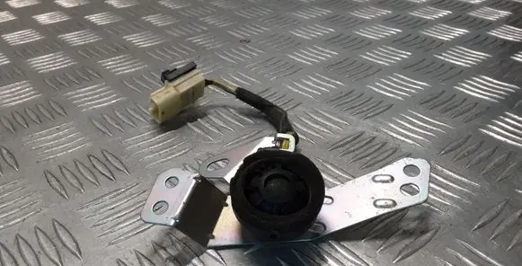 Toyota Land Cruiser (J120) Front door high frequency speaker 