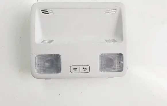 Ford Focus Rear seat light Z0009910010 LAHC3089V619V