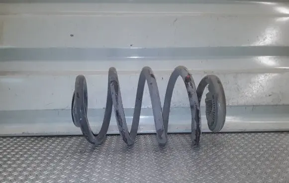 Renault Clio III Rear coil spring 