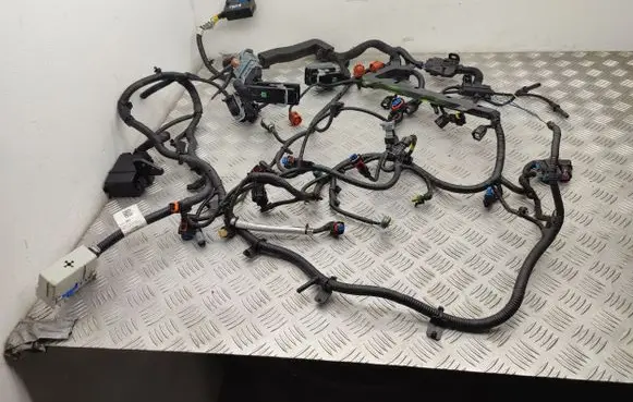 Engine installation wiring loom