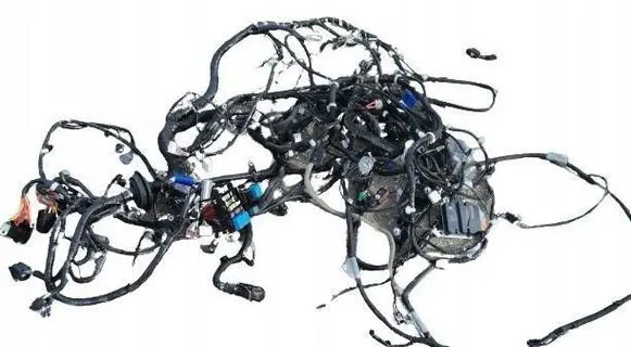 Dacia Spring Other wiring loom