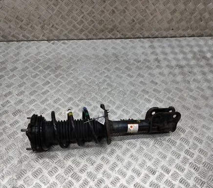 Hyundai Santa Fe Front shock absorber/damper 54651S1500