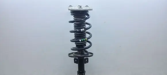Citroen Jumpy Front shock absorber with coil spring 9830293280