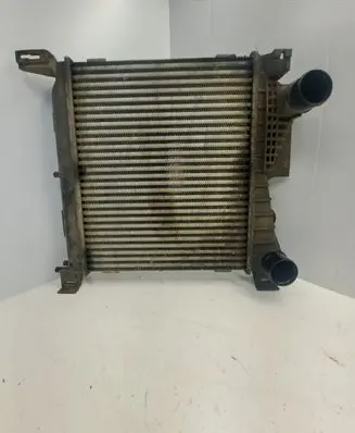 Chrysler Voyager Heater blower radiator