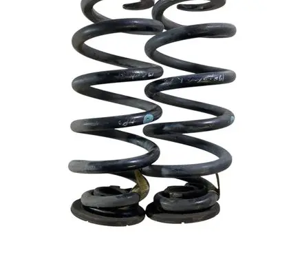 Rear coil spring