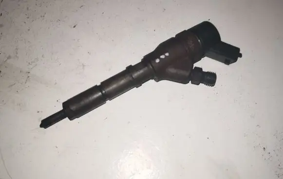 Citroen C5 Fuel injector 0445110008 9635196580