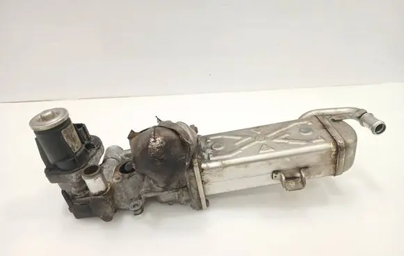 Seat Ibiza IV (6J,6P) EGR valve 11725504 0280751012 09102300254