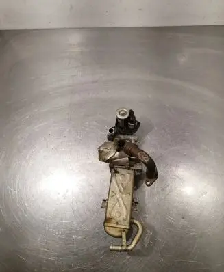 Volkswagen Caddy EGR valve 0280751016 11725507