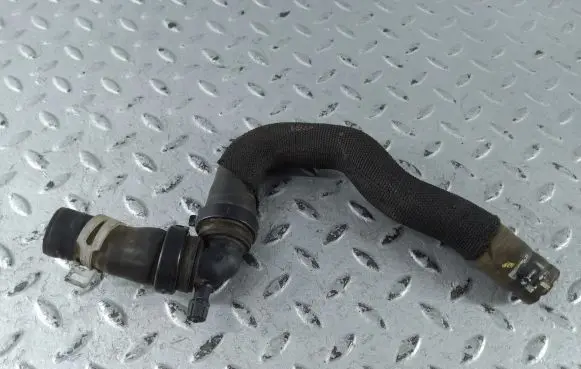 Dacia Sandero III Engine coolant pipe/hose 924102426R
