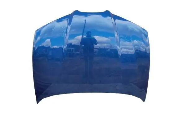 Seat Ibiza III (6L) Engine bonnet/hood 31D5