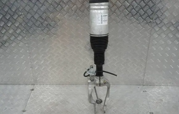 Land Rover Range Rover Sport L494 Front shock absorber with coil spring 22293601 DPLA-3C286-AF