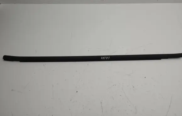 Front door glass trim molding