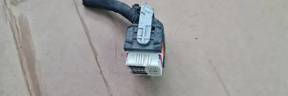 Audi S5 F5 Other wiring loom 4M0973056B