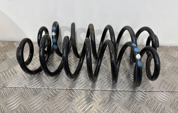 Rear coil spring