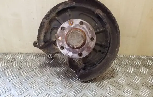 Volkswagen Golf VI Rear wheel hub spindle/knuckle 