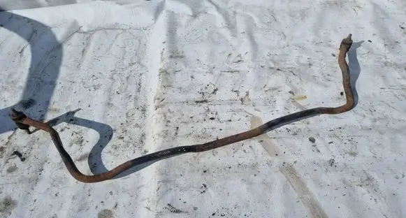 Nissan Micra Front anti-roll bar/sway bar 