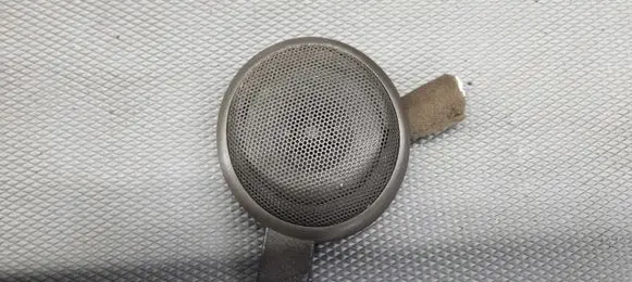 KIA Optima Front door speaker