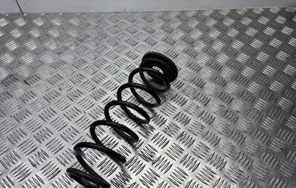 Rear coil spring