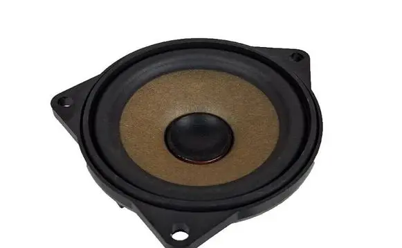 Mini Cooper Countryman R60 Rear door speaker 9804157