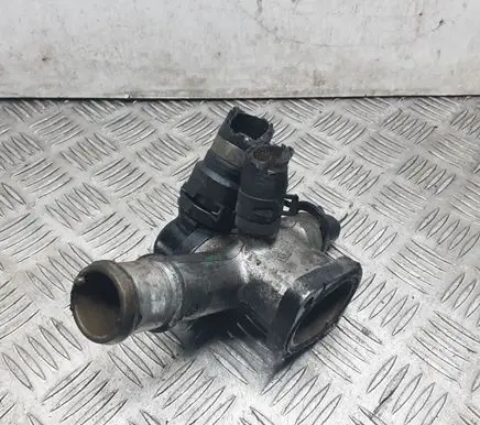 Thermostat/thermostat housing