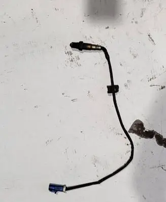 Ford Kuga II Lambda probe sensor BV619G444BA
