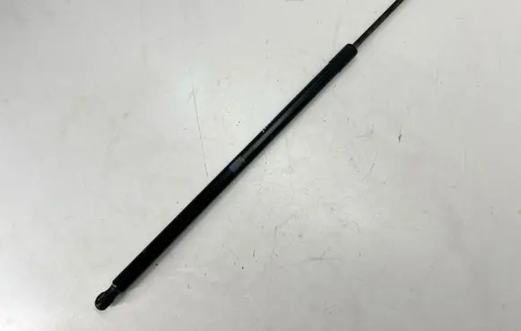 Tailgate/trunk strut/damper