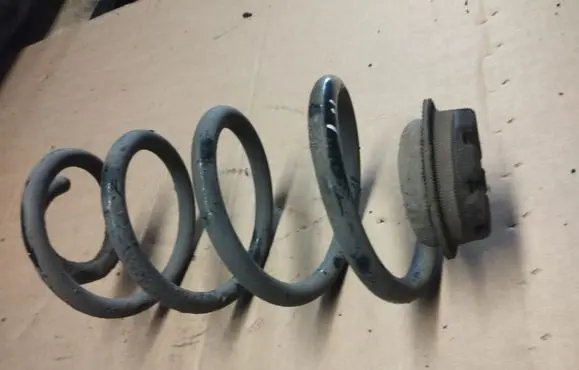 Rear coil spring