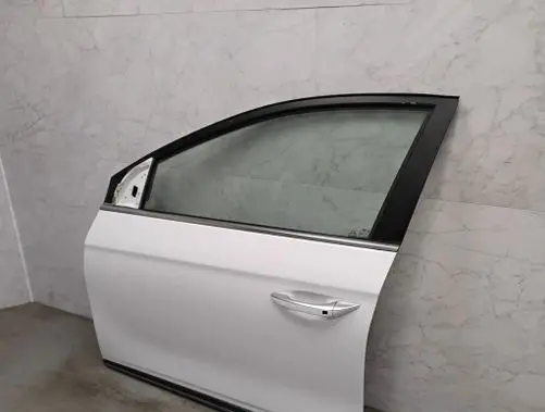 Hyundai Ioniq Front door 