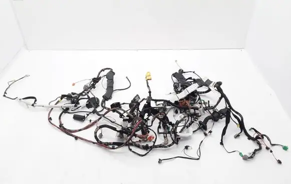 Other wiring loom
