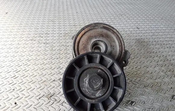 Peugeot 407 Generator/alternator belt tensioner