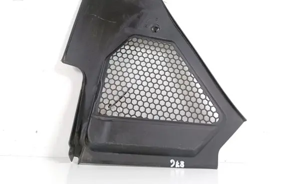 Engine bonnet/hood lock trim molding