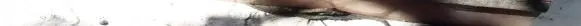 Fiat Bravo - Brava Front door trim (molding) 