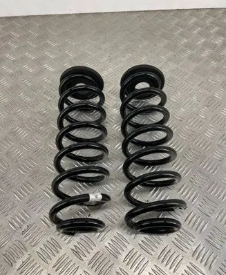 Rear coil spring